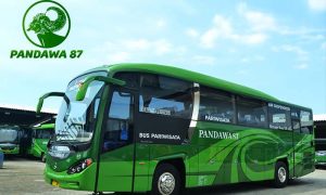 Sewa Bus Pariwisata Pandawa 87