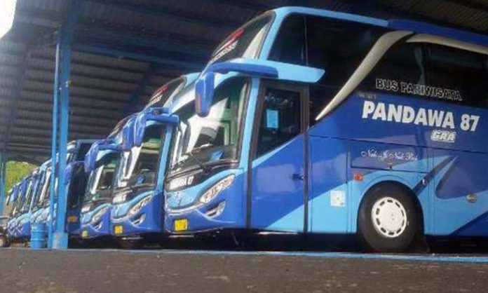 Agen Sewa Bus Pariwisata Pandawa 87