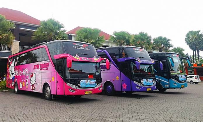 Agen Sewa Bus Pariwisata KYM Trans