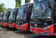 Sewa Bus Pariwisata di Situbondo Murah 2025