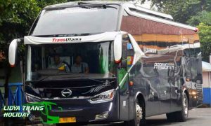 Sewa Bus Pariwisata PO City Trans Utama Terbaru