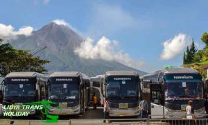 Sewa Bus Pariwisata PO City Trans Utama Terbaru murah
