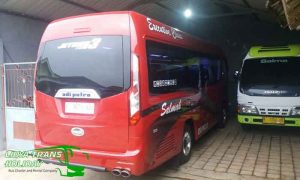 Daftar Harga Sewa Elf di Bondowoso Terbaru Murah