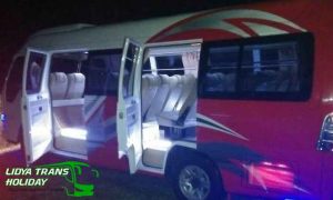 Daftar Harga Sewa Elf di Gresik Terbaru Murah Terbaik