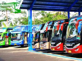 Daftar Harga Sewa Bus Pariwisata di Semarang Murah Terbaru