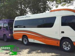 Daftar Harga Sewa Elf di Ponorogo Terbaru Murah Terbaik