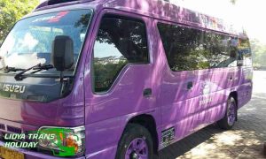 Daftar Harga Sewa Elf di Sampang Terbaru Murah terbaik