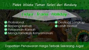 Paket Wisata Taman Safari dari Bandung Murah Fasilitas Terbaik