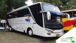 Sewa Bus Pariwisata PO Trac di Jakarta Murah