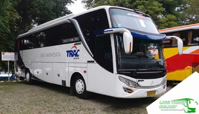 Sewa Bus Pariwisata PO Trac di Jakarta Murah Sewa Bus Pariwisata PO Trac di Jakarta Murah