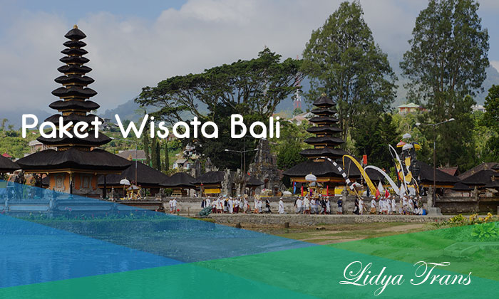 Paket WIsata Bali Bedugul