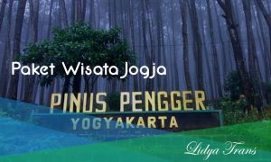 Paket WIsata Jogja 1 hari Pinus Pengger